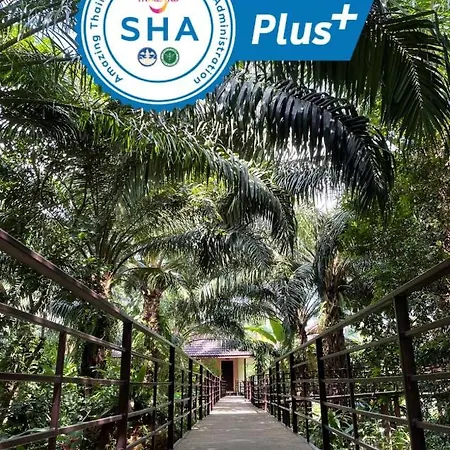 Khaosok Good View Resort - Sha Plus-3