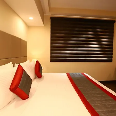 Hotel Azulo Inn Bhikaji Cama Place Delhi-2