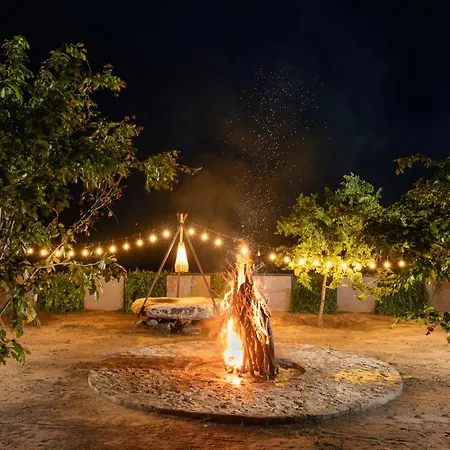 Wild Culture Yala-3