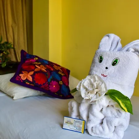 Hotel Melina-3