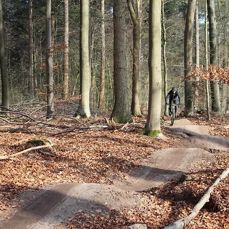 B&B Woudzicht Groesbeek-2