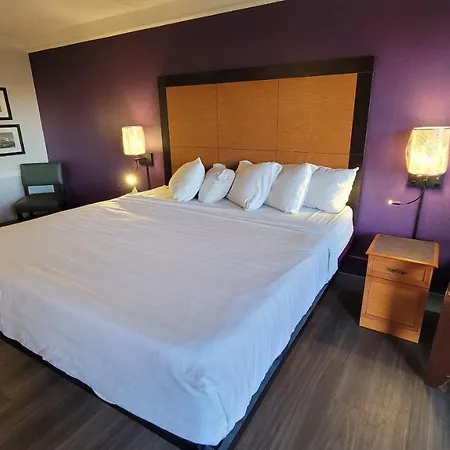 Hotel Palm Bliss Corpus Christi South-3