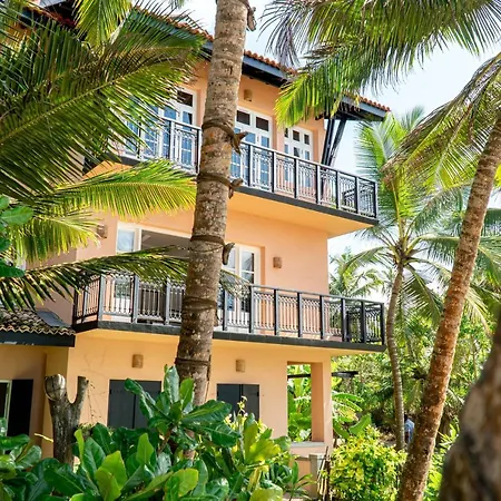 The Slow Vegan Hotel-3