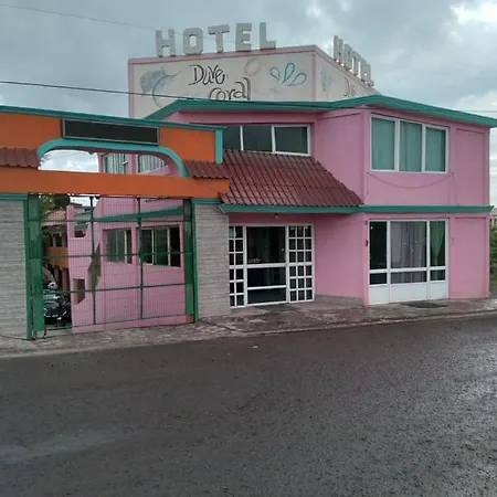 Hotel Duve Coral-3