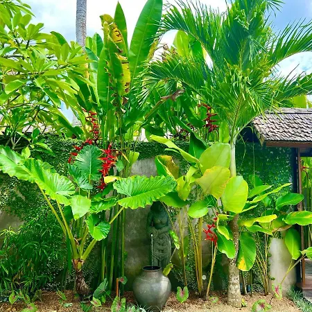 Jati Kuta Lombok-2