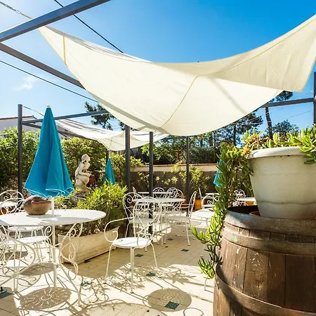 Hôtel Restaurant - Villa Les Sirènes-2