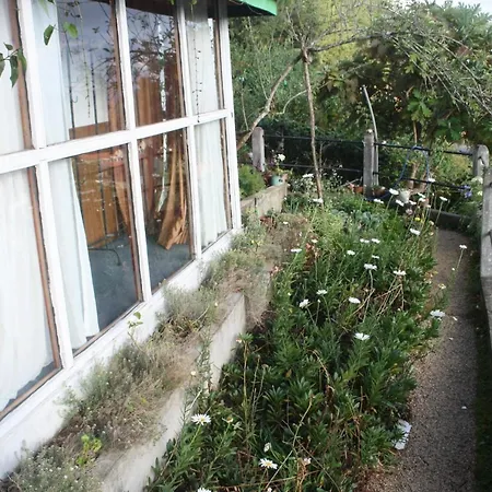 Bezel Bungalow Nuwara Eliya-2