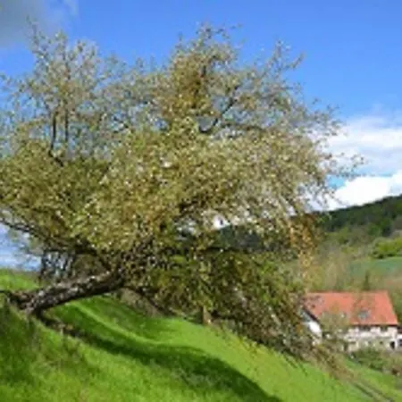 Gasthaus Holdermuehle-3