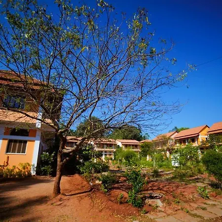 Paradisestay Auro Jungle Resort-2