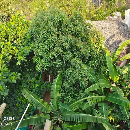 Thiru Nakshatra Family Guest House-2