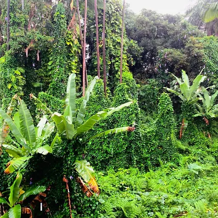 Wild Ginger Hotel-3
