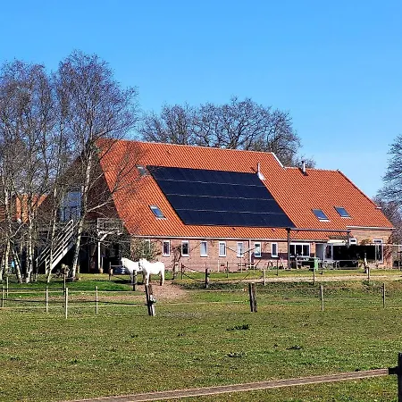 Slaopen en Stoet-3