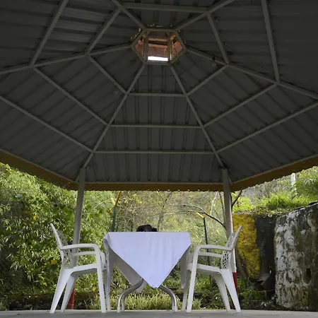 Nature Walk Resort-3