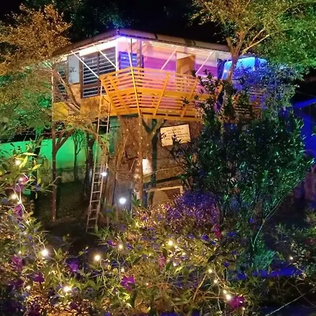 Treehouse Tabor Hills Resort Vagamon-2