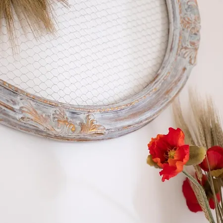 Amate Suite-2