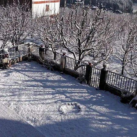 Aroma Taru Villa / Cottage ,Manali-2
