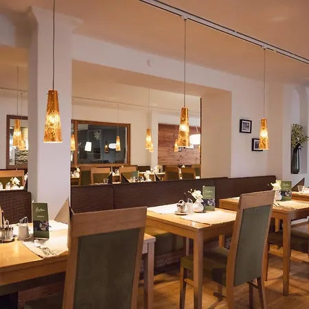 Hotel Bon Alpina-2