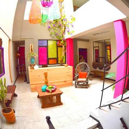 Vivir Bonito Hostal-3