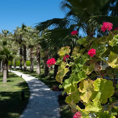 X Life Hotel Sarıgerme 15 - Adult Hotel-3