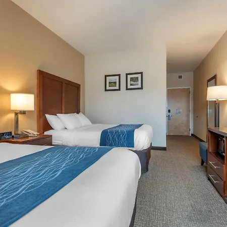 Comfort Inn Apalachin - Binghamton W Route 17-2