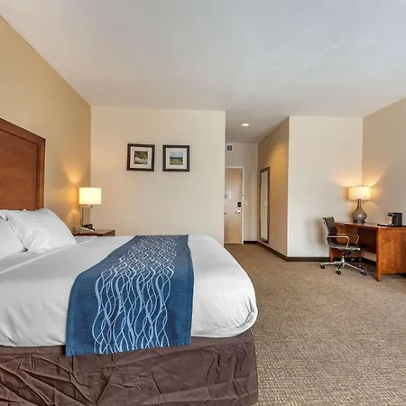 Comfort Inn Apalachin - Binghamton W Route 17-3