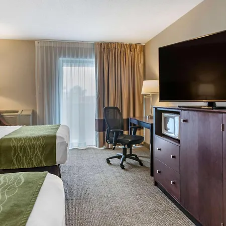Comfort Inn Lansing West-3
