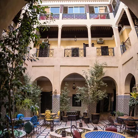 Riad Omar-2