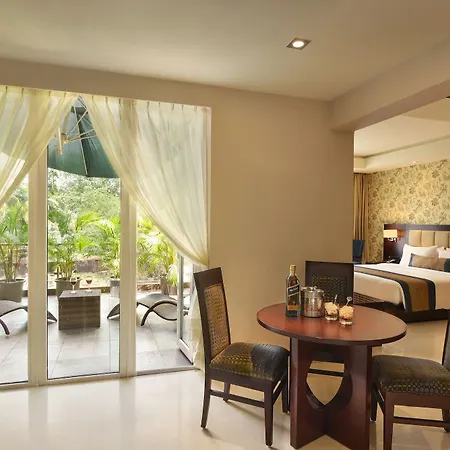 Acacia Goa-3