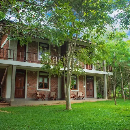 Camellia Resort And Spa-3