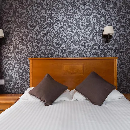 The Dog & Bear Hotel-2
