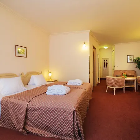 Interhotel Central-2
