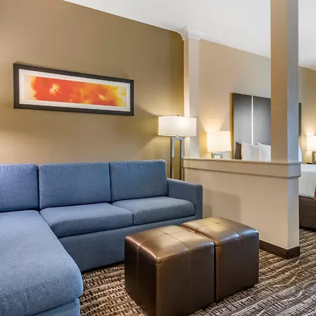 Comfort Suites Near Sam Houston Race Park-3