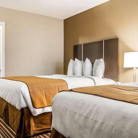 Quality Inn & Suites South Portland-3