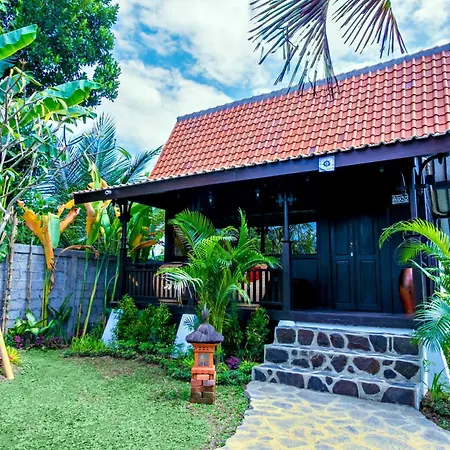 Canvas Escape Resort-3