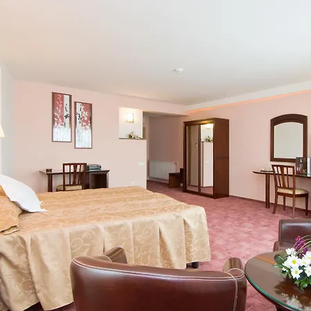 Hotel Ambient-3