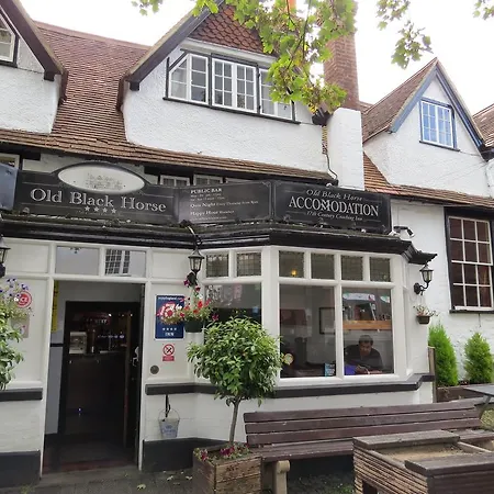 The Old Black Horse Inn-2