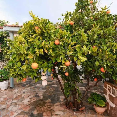 Herakles Butik Otel-3