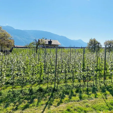 Pension Rebgut-2
