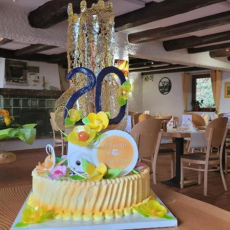 Logis Hotel Le Bouton D'Or-3
