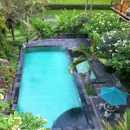 Toko Toko Bungalows-2