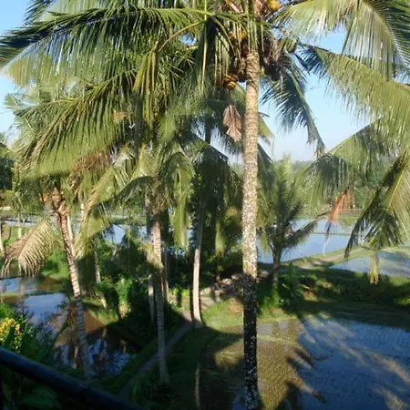 Toko Toko Bungalows-3
