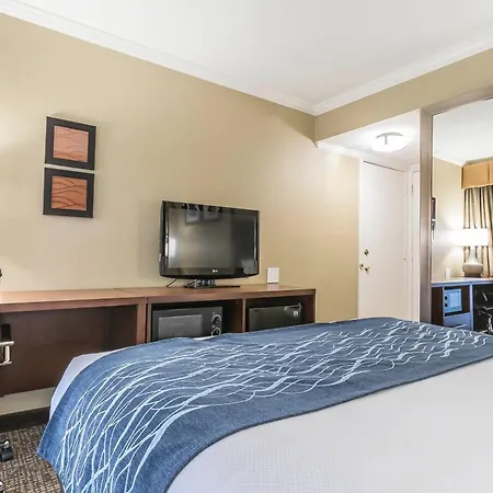 Comfort Inn Sunnyvale - Silicon Valley-3