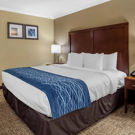 Comfort Inn Sunnyvale - Silicon Valley-2
