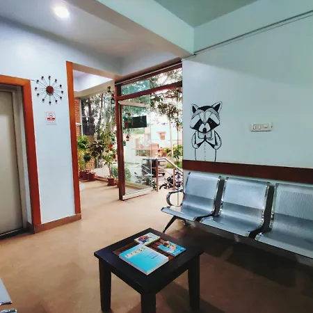 Raccoon Rooms-3