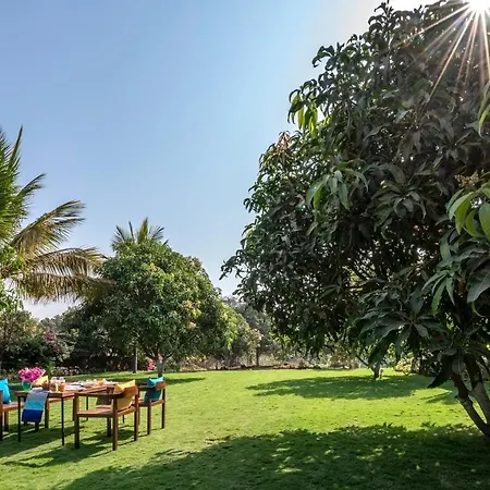 Saffronstays Casa Manga, Karjat - Pet-Friendly Pool Villa Near Nd'S Film World And Saltt-3
