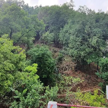 Karthik Resorts, Jeolikote Nainital-3
