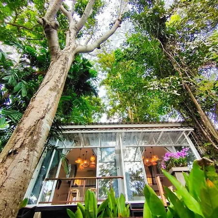 Rain Forest Resort Phitsanulok-2