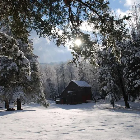 Shadow Mountain Escape Cabin Rentals-2