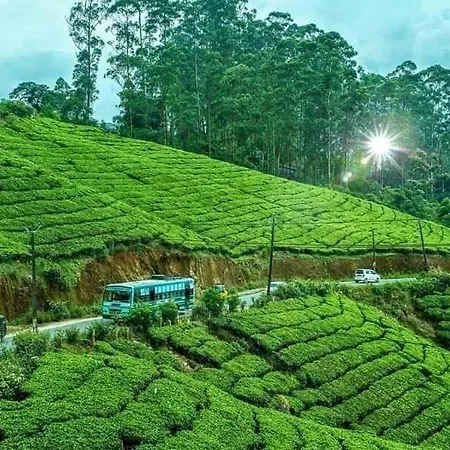Munnar Tent Hills Resort-3