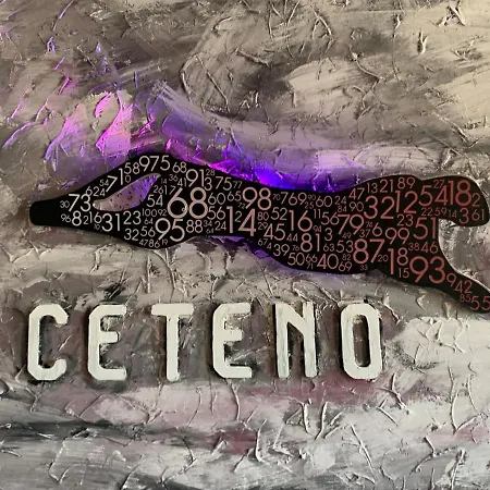 Hotel Ceteno-2